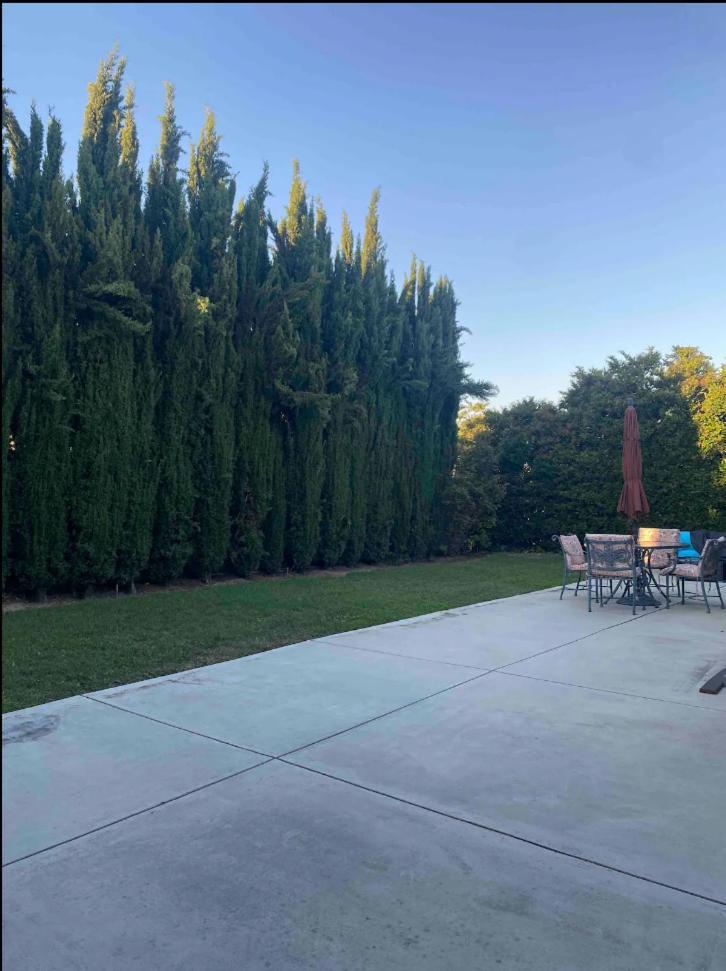 F O R G E T T H E H O T E L Hotel Alhambra Exterior foto